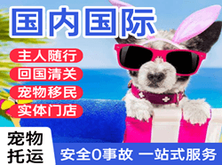 义勒力特航空快运国际宠物托运 【国